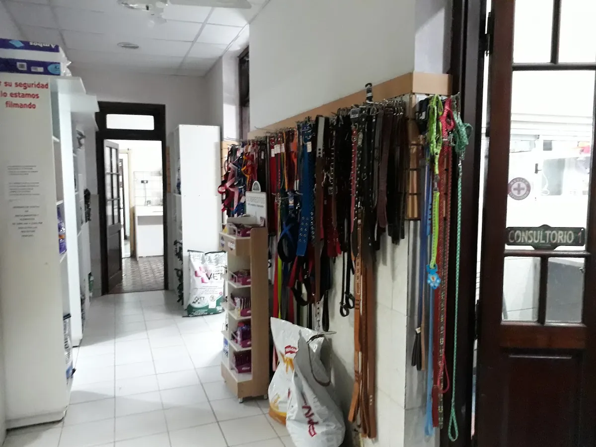El pasillo hacia los consultorios, con correas colgadas en la pared